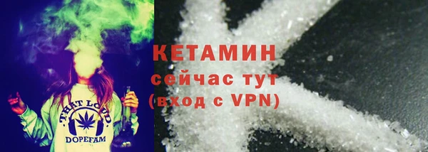 PSILOCYBIN Белокуриха