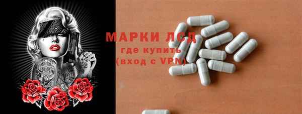 PSILOCYBIN Белокуриха