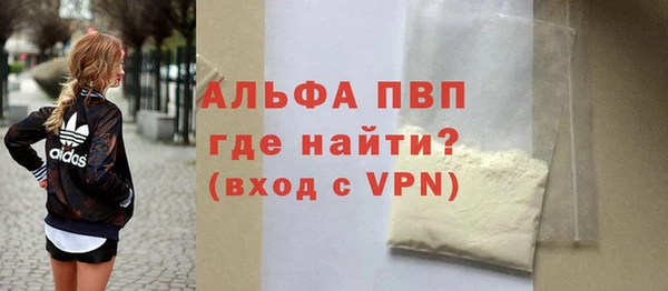 PSILOCYBIN Белокуриха